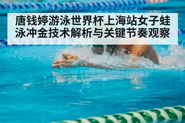 唐钱婷游泳世界杯上海站女子蛙泳冲金技术解析与关键节奏观察